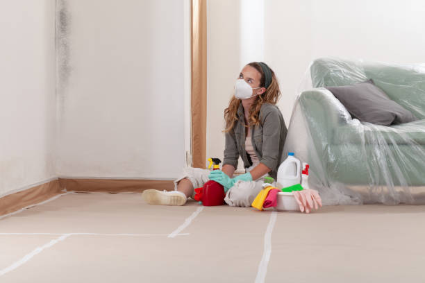 Reliable Mold Removal contractor in Raleigh, NC by WQB Mold Removal